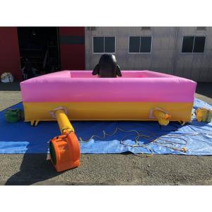 受注生産 エア遊具 ボールブール ペンギン e...の詳細画像3