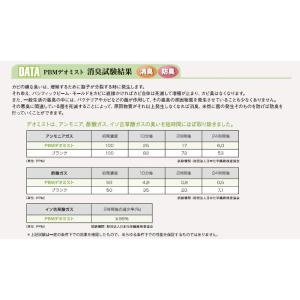 消臭剤 モールドミスト PBM-n002 消臭...の詳細画像5