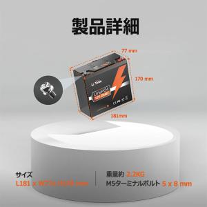 バッテリー LiTime 12V 20Ah 魚...の詳細画像1