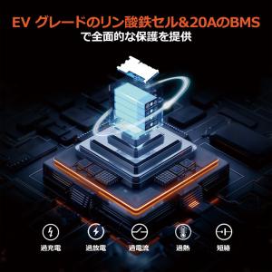 バッテリー LiTime 12V 20Ah 魚...の詳細画像3