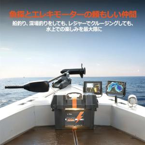 バッテリー LiTime 12V 20Ah 魚...の詳細画像4