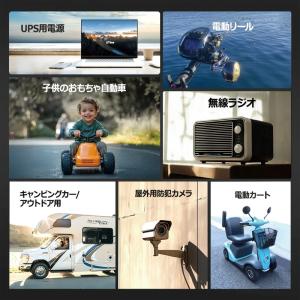 バッテリー LiTime 12V 20Ah 魚...の詳細画像5