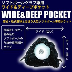 グローブ PROMARK プロマーク 3号用 ...の詳細画像3