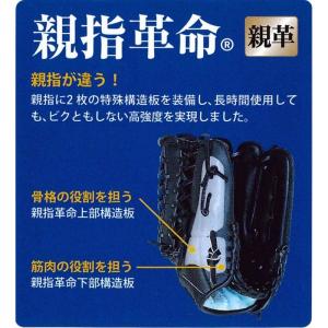 グローブ PROMARK プロマーク 3号用 ...の詳細画像2