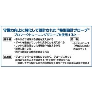 グローブ PROMARK プロマーク 硬式 軟...の詳細画像4