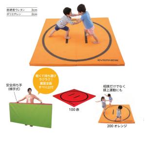 受注生産 軽量折りたたみ土俵マットすべり止付 ...の詳細画像2