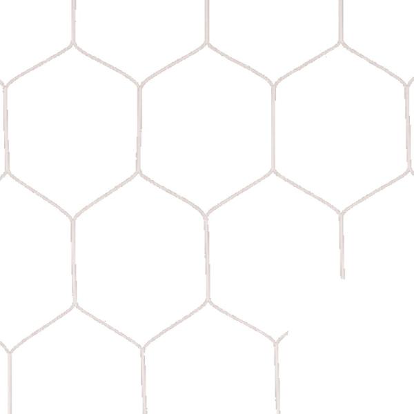 一般サッカーゴールネット 亀甲タイプ 2枚1組 S117 EKD848 球技 ネット 白 ポリエチレ...