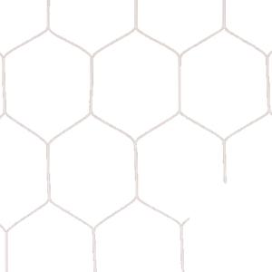 一般サッカーゴールネット 亀甲タイプ 2枚1組 S116 EKD842 球技 ネット 白 ポリプロピレンラッセル1520T EVERNEW エバニュー SスD