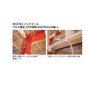 受注生産 ハンドゴールアルミ検定 SP EKD...の詳細画像1