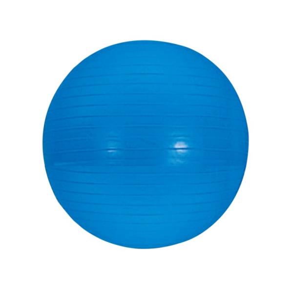 バランスボール ジムボール 65cm 青 ETB624 トレーニング トレーニング用品 PVC ポン...