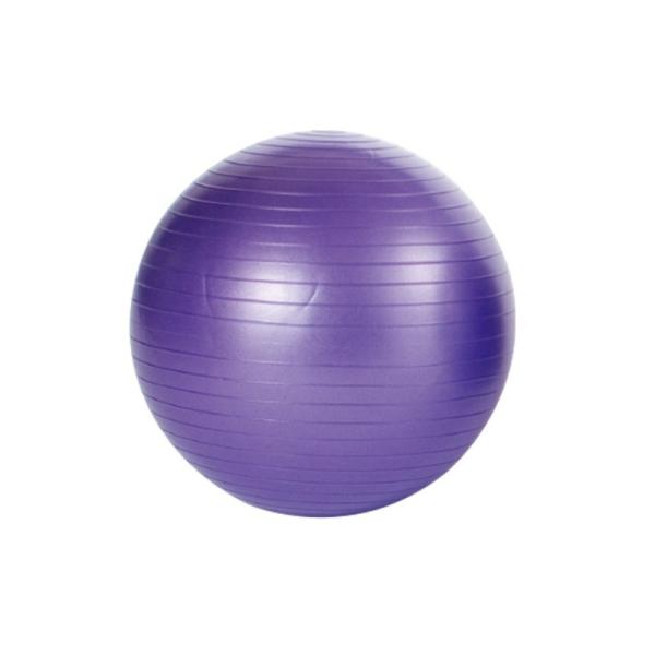 バランスボール ノンバーストバランスボール 55cm 紫 ETB601 トレーニング トレーニング用...