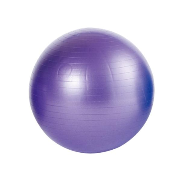 バランスボール ノンバーストバランスボール 65cm 紫 ETB602 トレーニング トレーニング用...