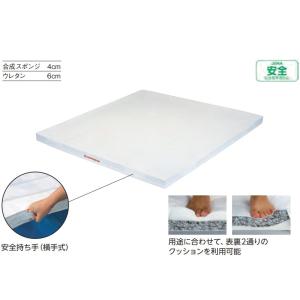受注生産 抗菌柔道用投込みマット EKM511...の詳細画像1