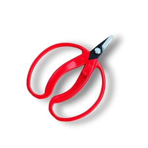 メール便】近正(チカマサ) みかん鋏 M-100 4967645010107 [鋏 はさみ