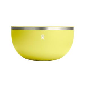 HYDRO FLASK STAINLESS STEEL REUSABLE FOOD BOWL OUT...