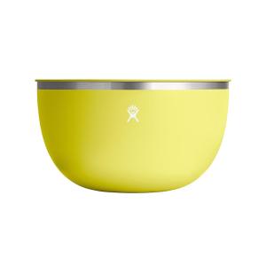 HYDRO FLASK STAINLESS STEEL REUSABLE FOOD BOWL OUT...