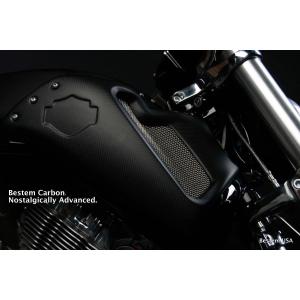 Cult Werk カスタム・エアボックスカバー V-Rodマッスル : HD-PARTS