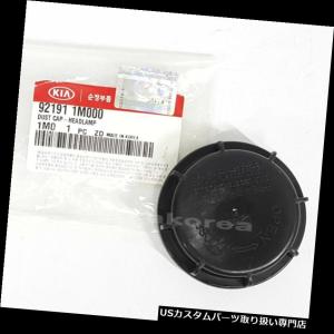 USヘッドライトカバー 日産フロンティアナバラD40パスファインダーR51