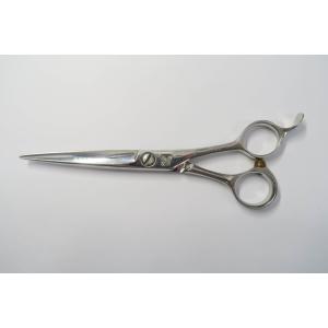 光 / HIKARI / STAR COSMOS 125 / シザー