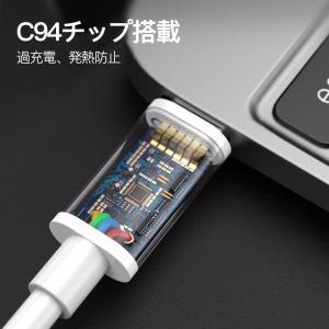 USB-C to Type-C PD タイプC...の詳細画像1