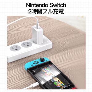 USB-C to Type-C PD タイプC...の詳細画像5
