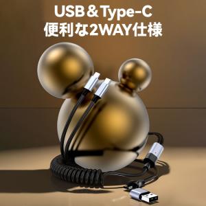 100W 急速 充電 ケーブル Type-C ...の詳細画像5