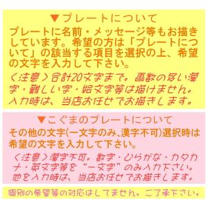 いちごアイスケーキ4号 誕生日ケーキ バースデ...の詳細画像5