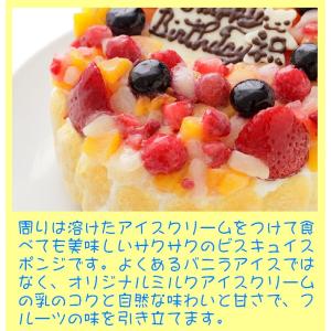 フルーツアイスケーキ5号 誕生日ケーキ バース...の詳細画像2