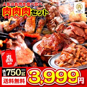 父の日 福袋 焼肉 bbq セット ニクミッツ福袋 メガ盛り 750g 牛 牛肉 焼肉セット バーベキューセット BBQセット  送料無料 キャンプ飯｜ushi3