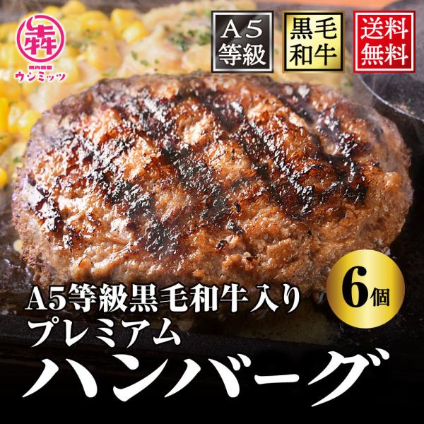 牛肉 黒毛和牛 ハンバーグ 900g(150g×6) 送料無料