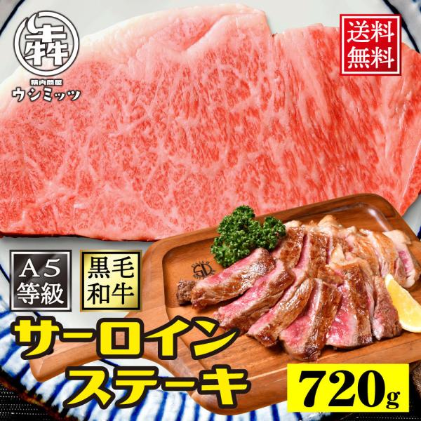 BBQ 食材 牛肉 肉 A5 黒毛和牛 サーロインステーキ 720g