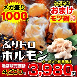 牛肉 焼肉 国産 もつ 1000g 小腸 激安 BBQ バーベキュー