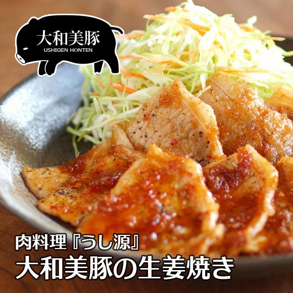 冷凍 惣菜 豚肉 大和美豚 生姜焼き しょうが お試し 500g ポーク ジンジャー 爆買