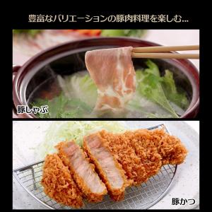 豚肉 大和美豚 ポーク 肩ロース 肉 500gの詳細画像3