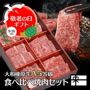 父の日 焼肉 プレゼント 牛肉 大和榛原牛 6種盛り 600g 食べ比べ 焼肉 セット みすじ ウデ ロース イチボ カルビ モモ 各100g 化粧箱入 送料無料 冷凍便｜大和榛原牛うし源本店