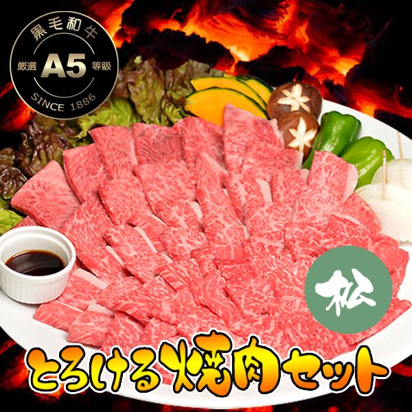 大和榛原牛 A5 とろける焼き肉セット 松 750g （カルビ 250g ＋極上バラ 250g ＋霜...