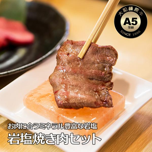 大和榛原牛 A5 岩塩 焼き肉セット 1.2kg （牛カルビ：300g、牛バラ：300g、霜降りモモ...