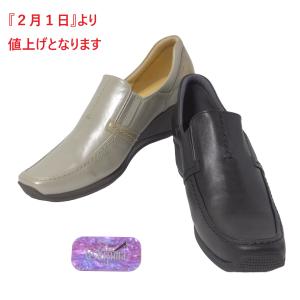 厳選 履きやすい靴専門店ウシジマ スリッポン レディースシューズ Yahoo ショッピング