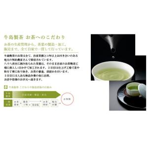 【2026年八女新茶】八女茶 日本茶 八女さえ...の詳細画像3
