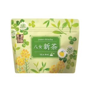 【2023年新茶】緑茶 ティーパック 日本茶 八女茶 新茶ティーバッグ 2g×20個 冷茶