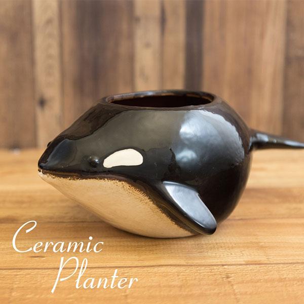 セラミックプランター フラワーポット シャチ プランター 植木鉢 おしゃれ 観葉植物 鉢 植物 屋外...