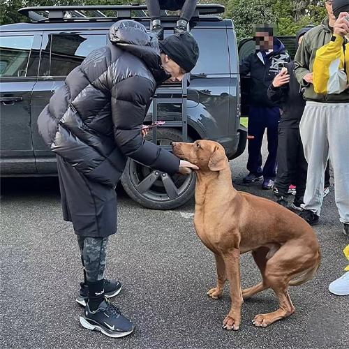 SYNA WORLD SYNA WAVE PUFFER JACKET ダウンジャケット 【BLACK...