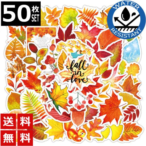 50枚 ステッカー レトロ 秋 紅葉 オータム 防水 耐水 シール 詰め合わせ 車