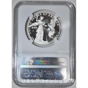 2015年アメリカンイーグル1ozプラチナプル...の詳細画像1