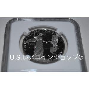 2015年アメリカンイーグル1ozプラチナプル...の詳細画像3