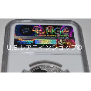 2015年アメリカンイーグル1ozプラチナプル...の詳細画像5