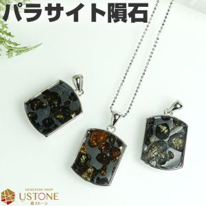 ケニア産 パラサイト セリコ隕石 ペンダントトップ 11mm No.313【1点