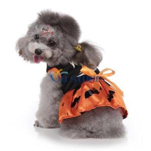 ペット 仮装 ハロウィン 犬服 レース ワンピース 洋服 かわいい スカート カボチャ 幽霊 お化け 魔女 コウモリ 可愛い 二足 小型犬 犬の服 猫服 小型犬 Ustore0105 Cwf99 U Store 通販 Yahoo ショッピング