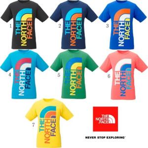 ノースフェイス　THE NORTH FACE　Tシャツ メンズ トライバートティー デカロゴ BIGロゴ NT31555｜usual