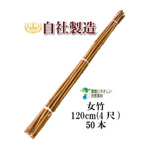 女竹 180cm 5本 篠竹 天然竹 竹支柱 添え木 園芸用 農業用 定植時支柱